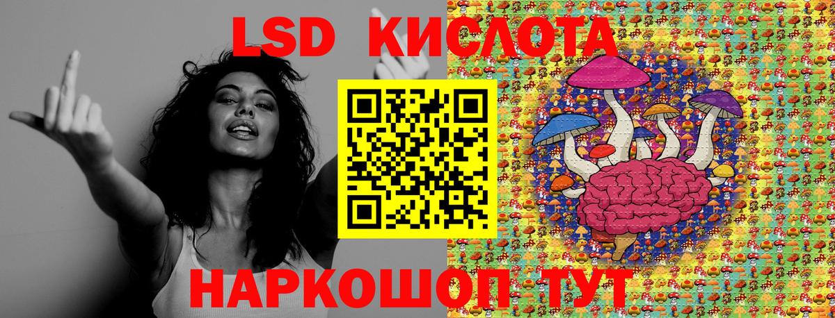 Наркотические марки 1,8мг  Наркотические марки 1,8мг  Торжок  Вход с VPN 