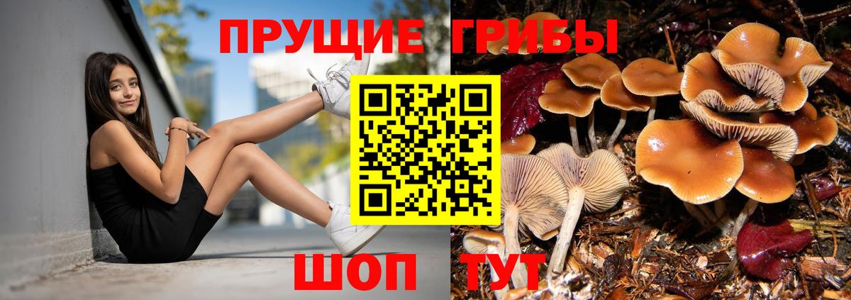 Галлюциногенные грибы прущие грибы  Псилоцибиновые грибы GOLDEN TEACHER  Вход с VPN  Торжок 